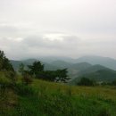 몰운대농장 이미지