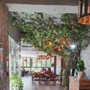 정성담은손칼국수 이미지