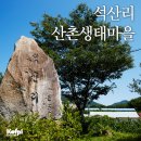 소나무(산촌마을) 이미지