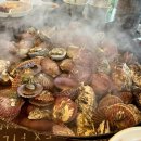 해물나라 | [공지] [경남 창원] 마산 가리비 굴구이 찐맛집 ‘옥이해물나라’ 후기