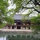 춘향과 몽룡 이미지