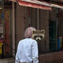 호호탕탕돈가스 | 잡고 또 잡고 ~ 뫼비우스의 띠