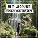 고래의 모험 | [세부 자유여행] 오슬롭 고래상어,모알보알,가와산 캐녀닝 등 근교 투어 비교/추천