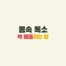 독소배출
