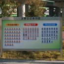 자전거안전교육장 이미지