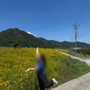 구감할머니 네이버블로그