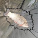 바위골 낚시터 이미지