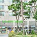 달미역 주차장 이미지