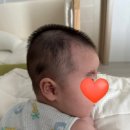 (주)한헬스케어 | 한헬스케어 동탄점 :: 하니헬멧 [내돈내산 후기]