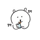 하이큐 민박