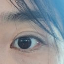 일산 속눈썹펌 매직아이 눈썹 후기｜완전 바짝 올라간 속눈썹펌 만족 후기