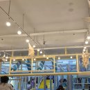 7살 키즈카페 추천 화정 점핑파크에서 3시간 넘게 놀고 온 후기