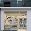 이야(YIYA) 이미지