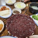 황소마을 | 경산 뭉티기 황소마을 내돈내먹 후기