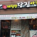 배영만 당진아구 이미지
