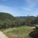 천지농원 이미지