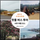 꽃향기 칼국수 | 제주도 뚜벅이 여행 가능할까? 서부 핫플 일일 버스투어 솔직 후기