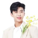 사파동195 이미지