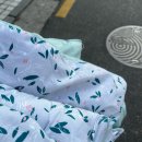 양재 워시엔조이 셀프빨래방 내돈내산 후기｜이불빨래하기 좋은 곳
