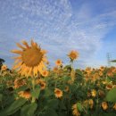 대부도해양본부 이미지