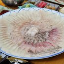 주문진항유리횟집 이미지