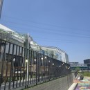 1676 | 평택 만세로 캠핑 감성 대형카페 비헤이브 방문후기