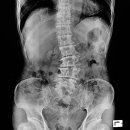 인하정형외과의원 이미지