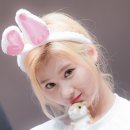 이** - 청도군 청도신기길 | 이**