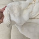 연베이지 | 알로데 노르딕 그라데이션 블랭킷 후기 | 연베이지 컬러 소파 담요추천