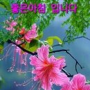 8/2,금요일-행복편지- 이미지