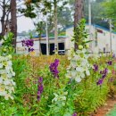 고운정경로당 이미지