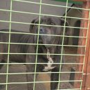 태광주유소 이미지