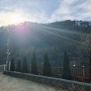 스페스11 이미지