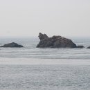 안흥유람선 Daum카페