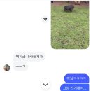 제주대 학점교류 2주 차