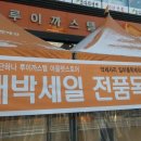 루이까스텔청주
