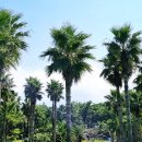 카페 파라 이미지