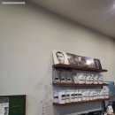 스탠드플랜세종