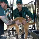 순조농장 이미지