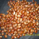 삼수농장 이미지