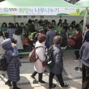 희망의 나무 이미지