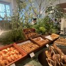 로카우스 수영장 이미지