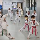 힘튼태권도 이미지