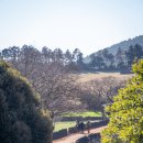 오두목장 | 제주 승마 체험 추천 목장 카페 밭디에서 즐긴 풀코스 후기