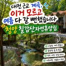 칠갑산계곡펜션 | 대전 근교 계곡, 이거 모르고 여름 다 갈 뻔했습니다 - 청양 칠갑산자연휴양림