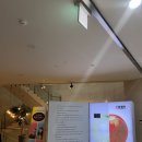 보다.쓰다.말하다:너에게 쓰는 편지 | [클럽 창비 2기] 시크닉 2회차: 안희연 시인과 만남+사인회