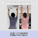 코드엠 트레이닝 네이버블로그