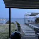 올리비아스테이 이미지