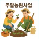 드림농원 민박 이미지