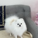 복희미용실